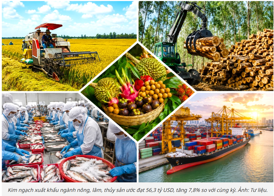Xuất khẩu nông, lâm, thủy sản kỳ vọng tăng tốc trong quý IV/2026